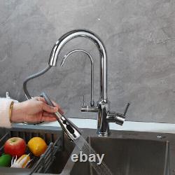 2-Way Pull Out Kitchen Sink Mixer Faucets Purifier Drinking Chrome Water Spout
