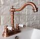 Antique Red Copper Swivel Spout Kitchen Sink Faucet Mixer Basin Tap Prg043