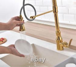 Brass Kitchen Sink Tap Mixer Spring Pull Out Sprayer Swivel Faucet Gold Polished