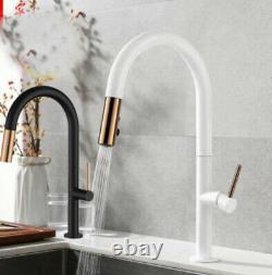Brass kitchen Faucet Pull Out Single Level Mixer Tap 360 Rotation 2-Way Sprayer