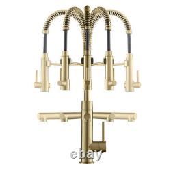 Brushed Gold Faucet Kitchen Sink Basin Mixer Deck Mounted Swivel Pull Down Taps