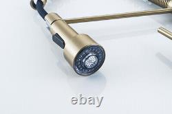 Brushed Gold Kitchen Sink LED Faucet One Handle Spring Hot and Cold Water Tap