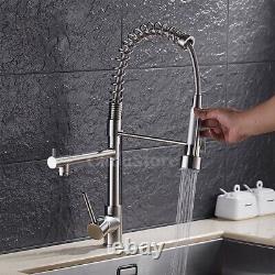 Brushed Kitchen Sink Faucet Pull Down Shower Swivel Water Mixer Tap Dual Spout