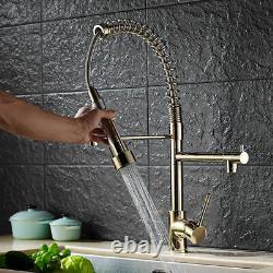 Gold Pull Out Spring Sprayer Dual Spout Kitchen Sink Faucet Tap 1 Hole Handle