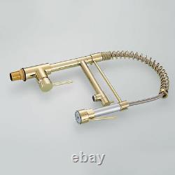 Gold Pull Out Spring Sprayer Dual Spout Kitchen Sink Faucet Tap 1 Hole Handle