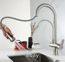 Kitchen Faucet Dual Spout Drinking Water SUS Purifier Vessel Sink Mixer Tap Hole