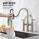 Kitchen Faucets Double-Handle Pull-Down Sprayer with Dual Function Sprayhead