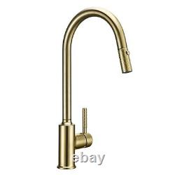 Kitchen Faucets Gooseneck Pull Out Cold and Hot Water Sink Mixer Tap Solid Brass