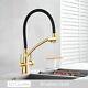 Kitchen Sink Faucet With Filter Dual Handles Hot Cold Mixer Tap Gold Black