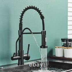 Kitchen Sink Faucets Hot Cold Water Mixer Filter Faucet Stream Spout Dual Holder