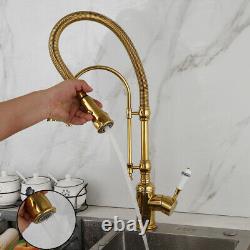 Luxury Gold Kitchen Sink Pull Down Spout Mixer Faucet Single Hole Deck Mount Tap