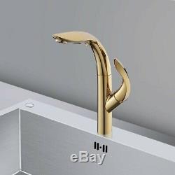 Luxury Gold Pull Down Sprayer Kitchen Faucet Swivel 2-Function Sink Mixer Tap