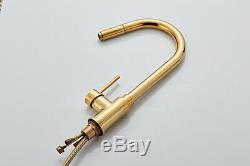 Luxury Gold Pull Out Sprayer Kitchen Faucet Swivel Spout Sink Mixer Tap Brass