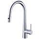New Nero Dolce Pull Out Sink Mixer Vegie Spray Function Chrome NR581009cCH