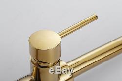 Newly Pull Out Sprayer Kitchen Brass Faucet Gold Sink Mixer Tap Vanity Swivel
