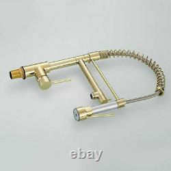 Polished Gold Kitchen Faucet Single Handle Pull Out Sprayer Swivel Spout Mixer