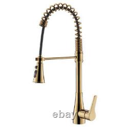 Rozin Gold Pull Out/Down Sprayer Kitchen Bar Sink Faucet Single Handle Mixer