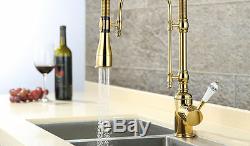 Rozinsanitary Brass Kitchen Sink Faucet Single Handle Gold Double Hole Mixer Tap