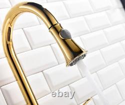 Single Handle Kitchen Sink Tap Pull Out Sprayer Mixer Hot Cold Bathroom Faucet