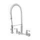 Tosca 255-K820-T 2-Handle Wall-Mount Pull-Down Sprayer Kitchen Faucet, Chrome