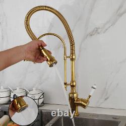 Vanity Gold Kitchen Sink Pull Down Spout Mixer Faucet Single Hole Deck Mount Tap