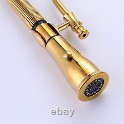 Vintage Kitchen Faucet Sink Pull Down Sprayer Single Lever Mixer Swivel Taps US