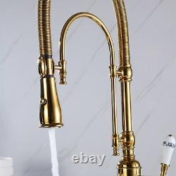 Vintage Pull Down Kitchen Faucet Sprayer Single Handle Sink Mixer Tap with Cover
