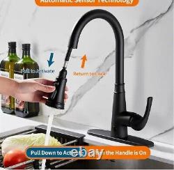 Zalerock Single Handle Pull Down Activation Pull Down Sprayer Kitchen Faucet Blk